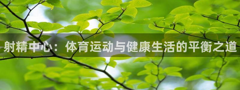 球速体育