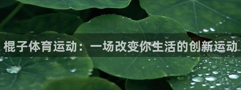 球速体育