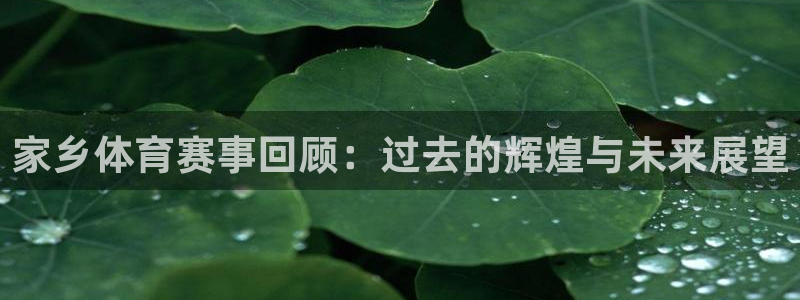 球速体育