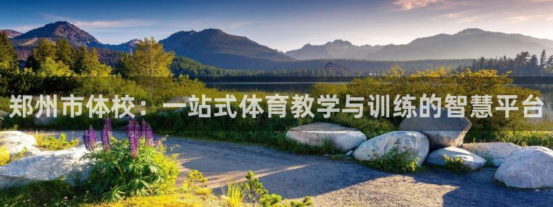 球速体育