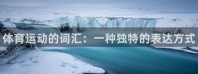 球速体育
