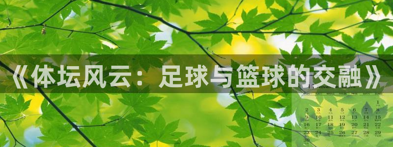 球速体育