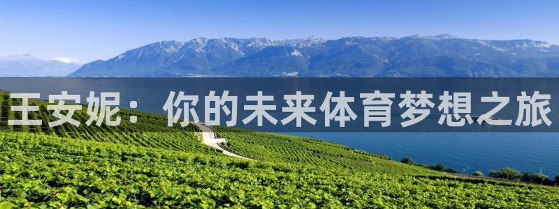 球速体育