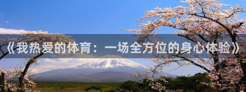 球速体育