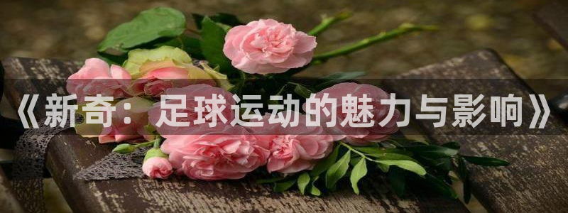 球速体育