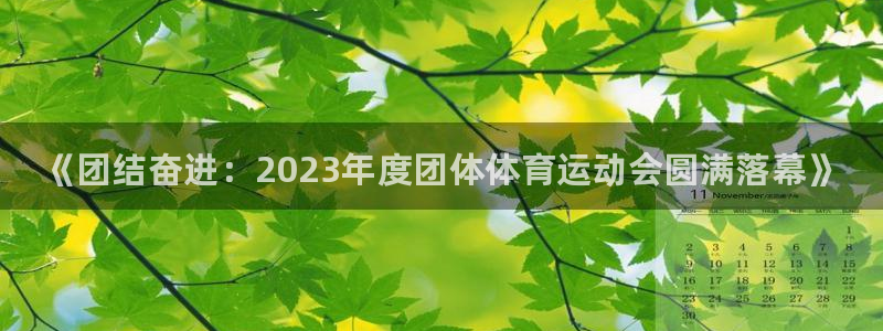 球速体育