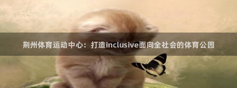 球速体育