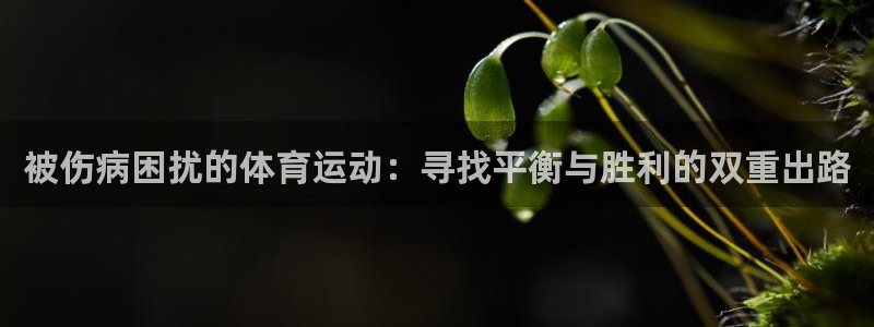 球速体育