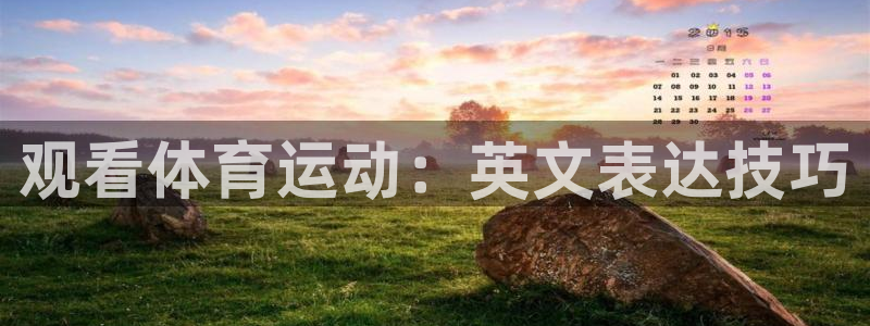 球速体育