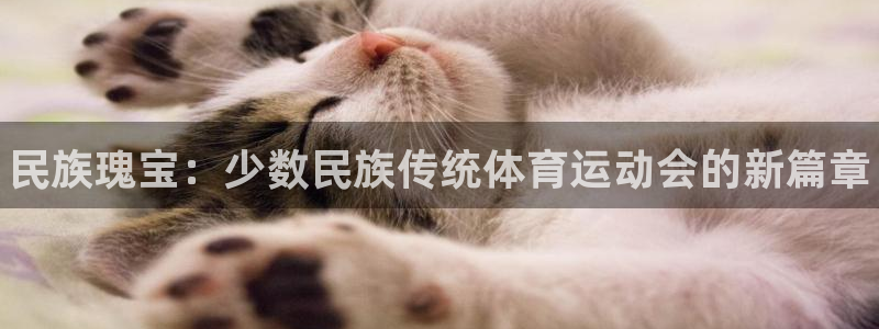 球速体育