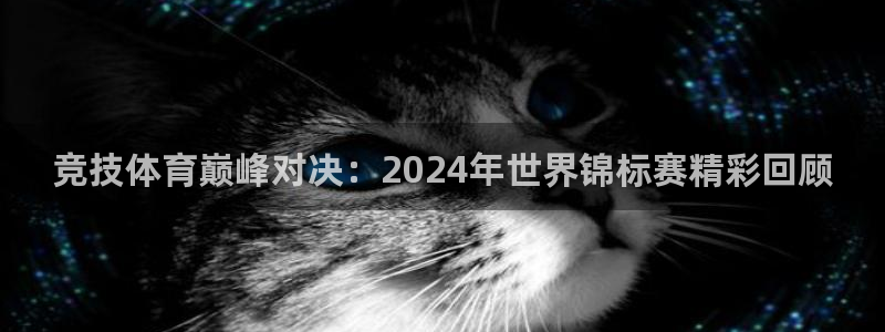 球速体育