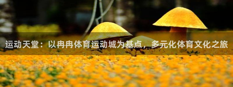 球速体育