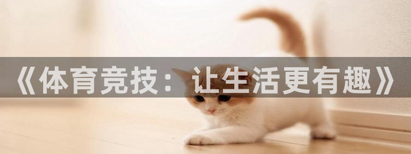 球速体育