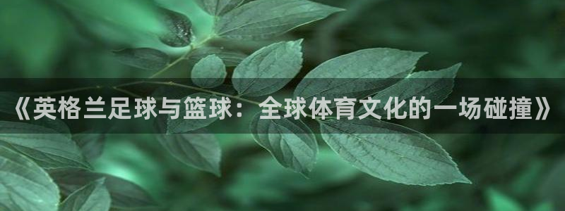 球速体育