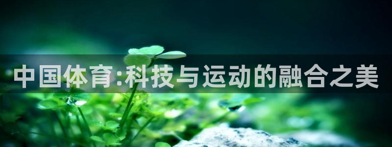 球速体育