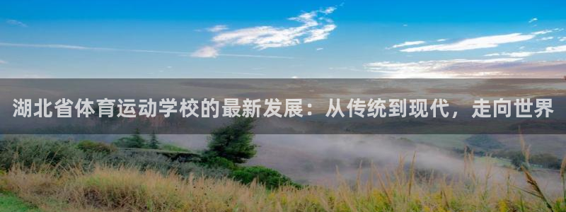 球速体育