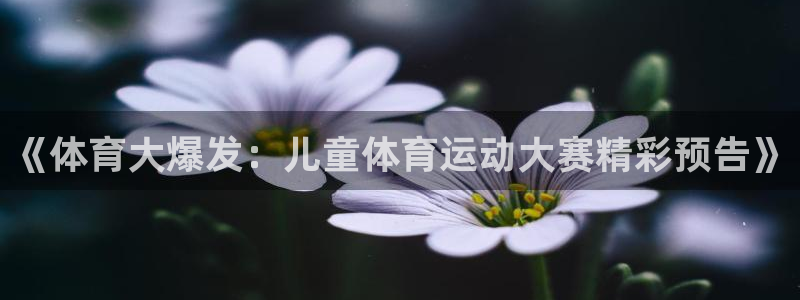 球速体育