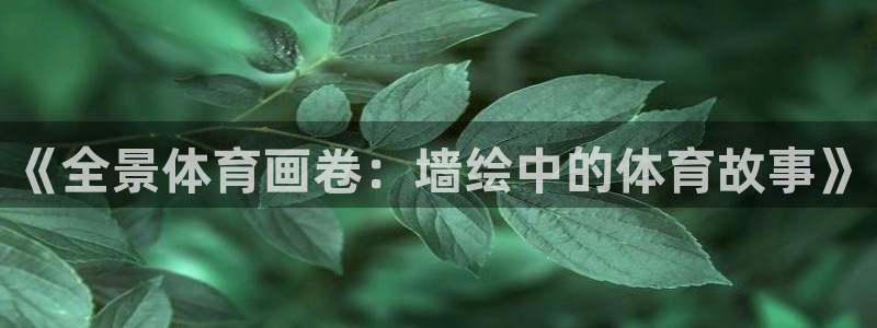 球速体育