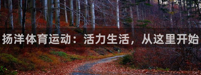 球速体育