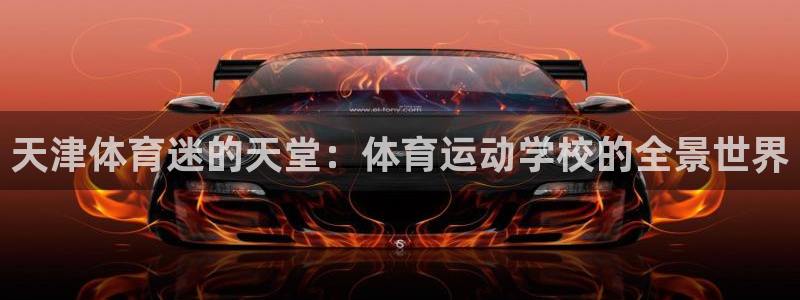球速体育
