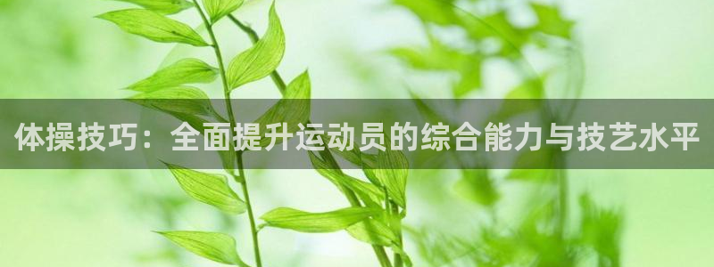 球速体育