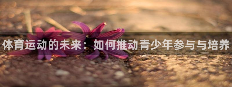 球速体育