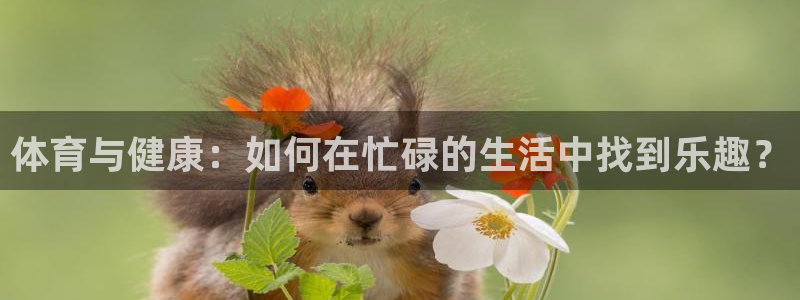 球速体育