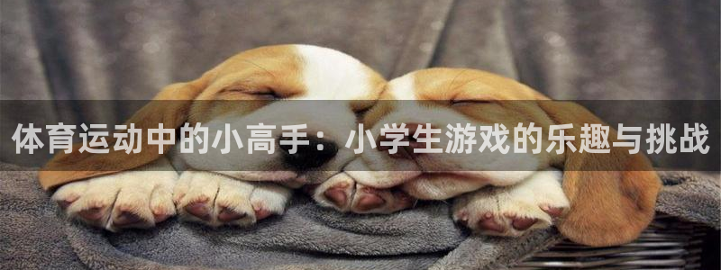 球速体育