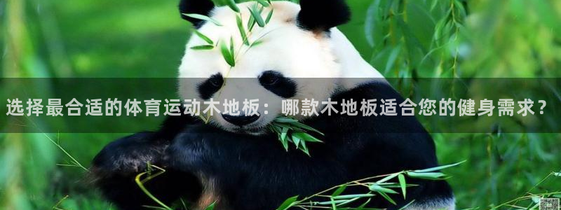 球速体育