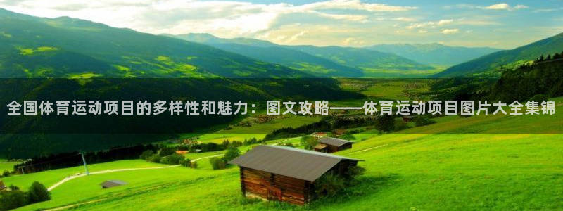 球速体育