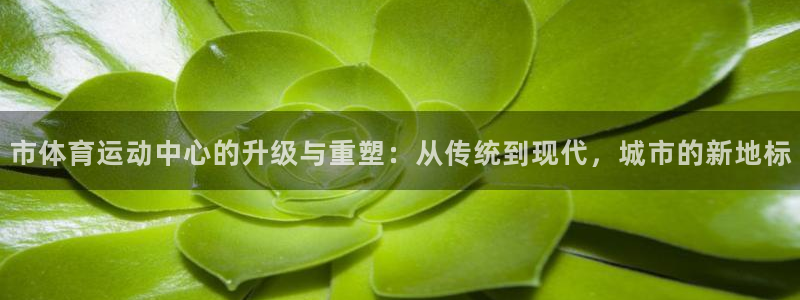 球速体育