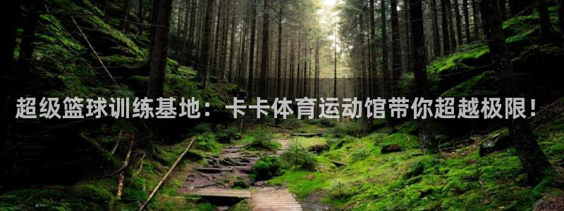 球速体育