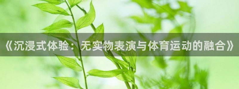 球速体育
