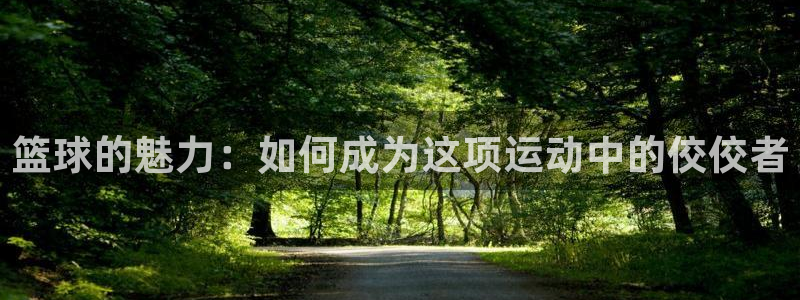 球速体育