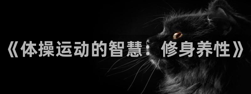 球速体育
