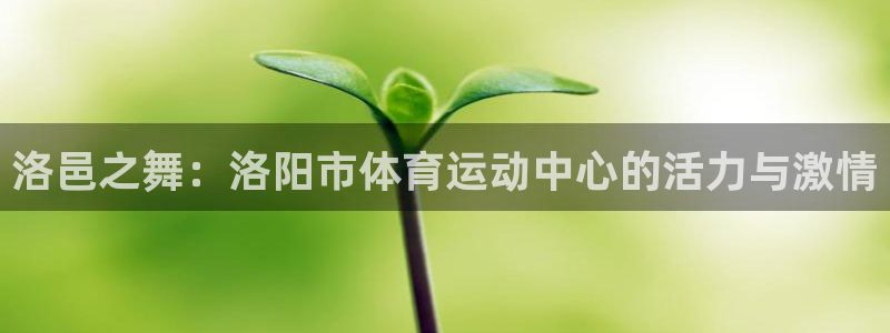 球速体育