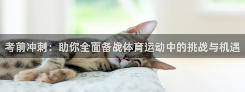 球速体育