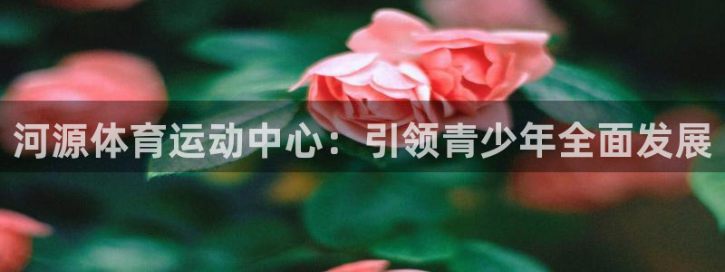 球速体育