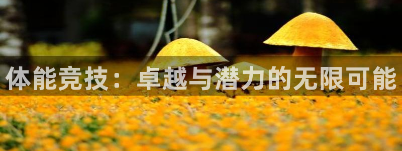 球速体育