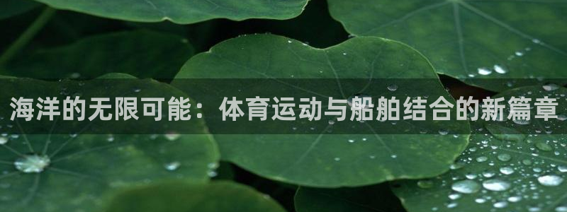 球速体育